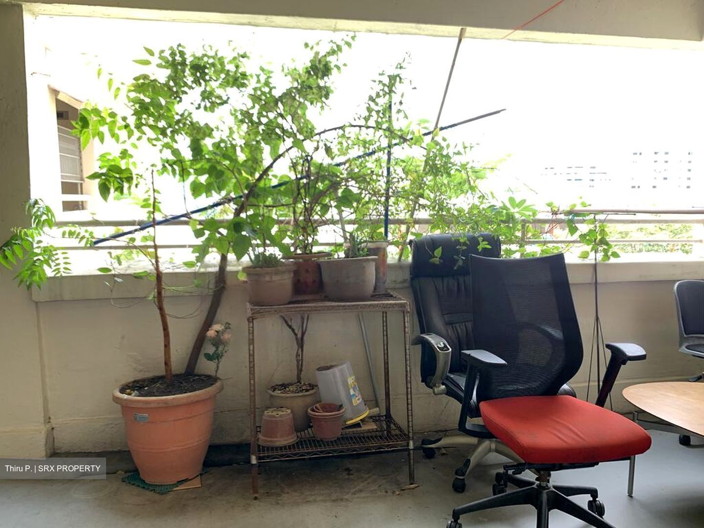 Blk 231 Yishun Street 21 (Yishun), HDB 4 Rooms #438643741